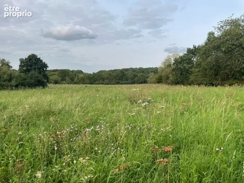 Terrain à JOUARS-PONTCHARTRAIN