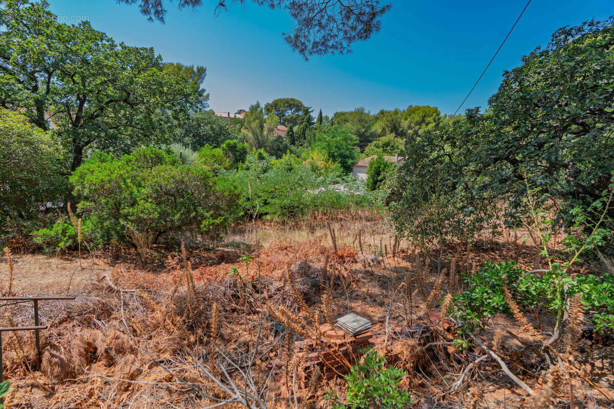 Propriété à réhabiliter dans un environnement préservé en zone A secteur EVESCAT - GAUMIN - photo 2