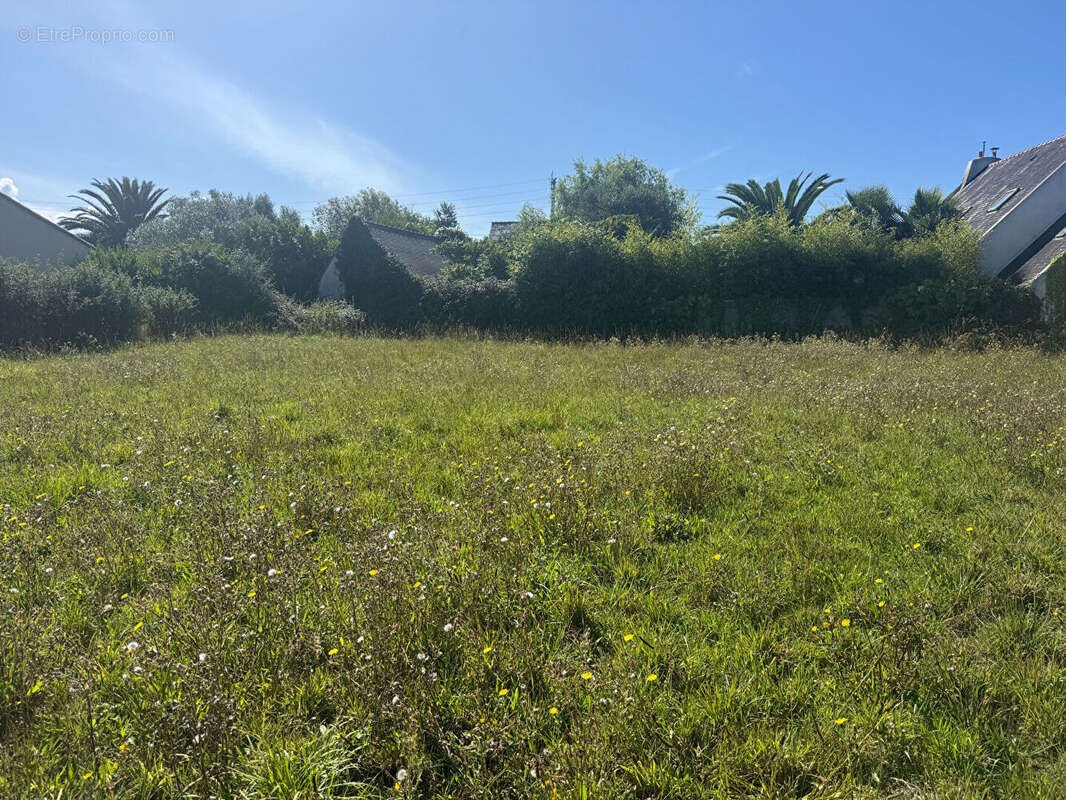 Terrain à CAMARET-SUR-MER