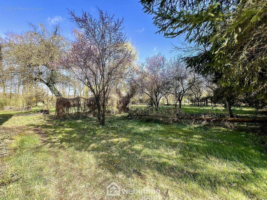 Grand terrain arboré à l'arrière, à entretenir, avec vu sur la plaine et la forêt - Maison à CHATTANCOURT