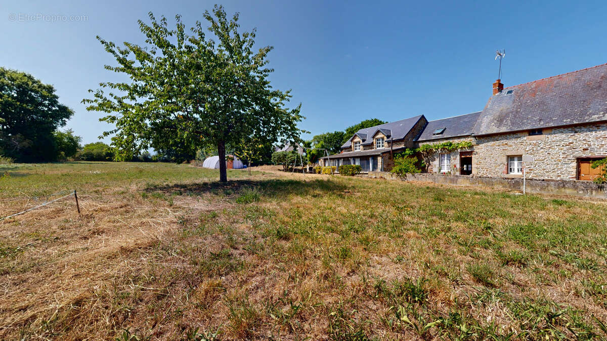 Longère de 146m2 avec dépendances sur 2 hectares. - photo 8