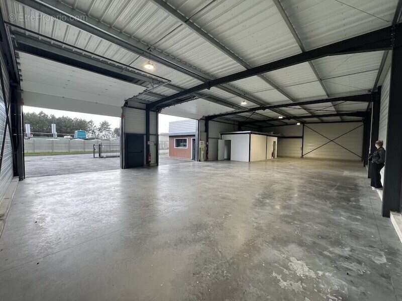 Commerce 303 m² à Belin-Beliet  - photo 8