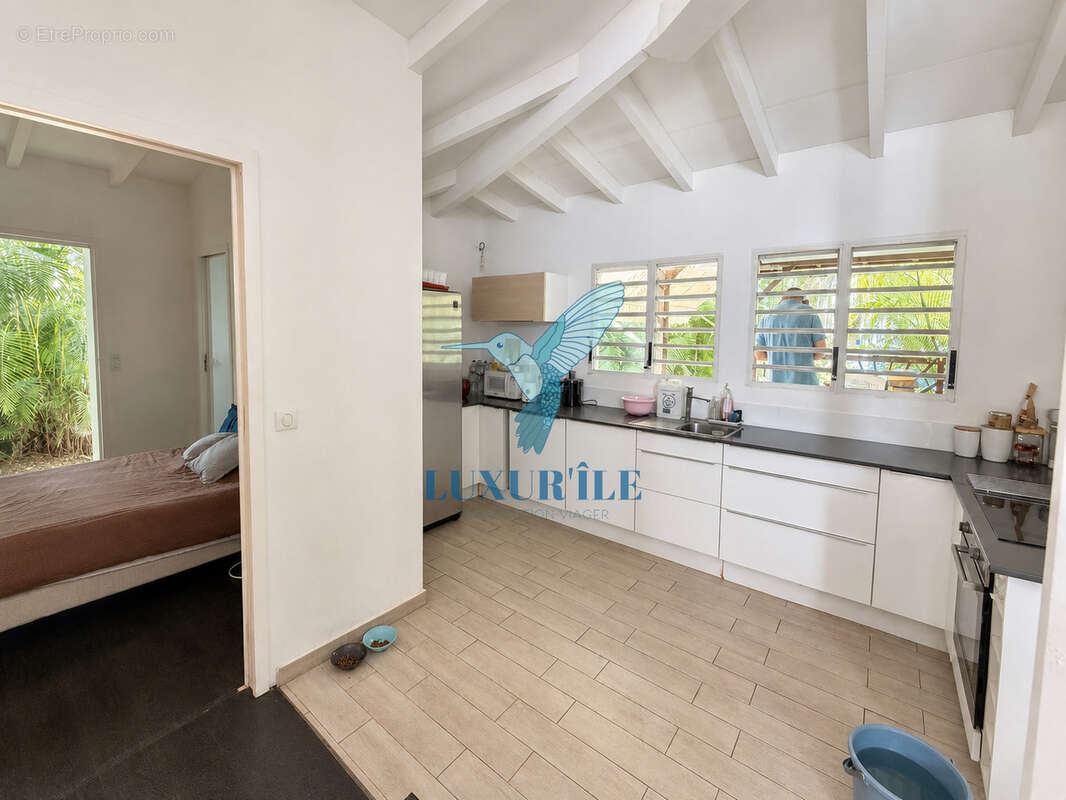 Dampierre   Le Gosier  Charmante villa 4 chambres avec piscine, jardin tropical et aperçu mer - photo 20