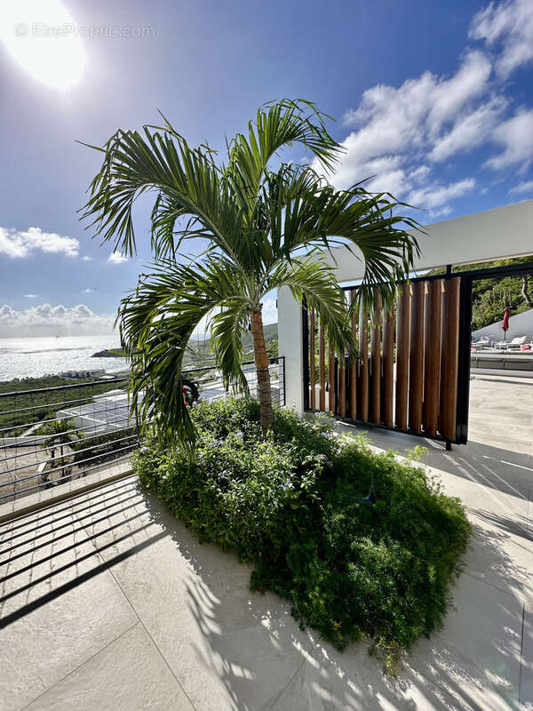 Maison à SAINT-MARTIN