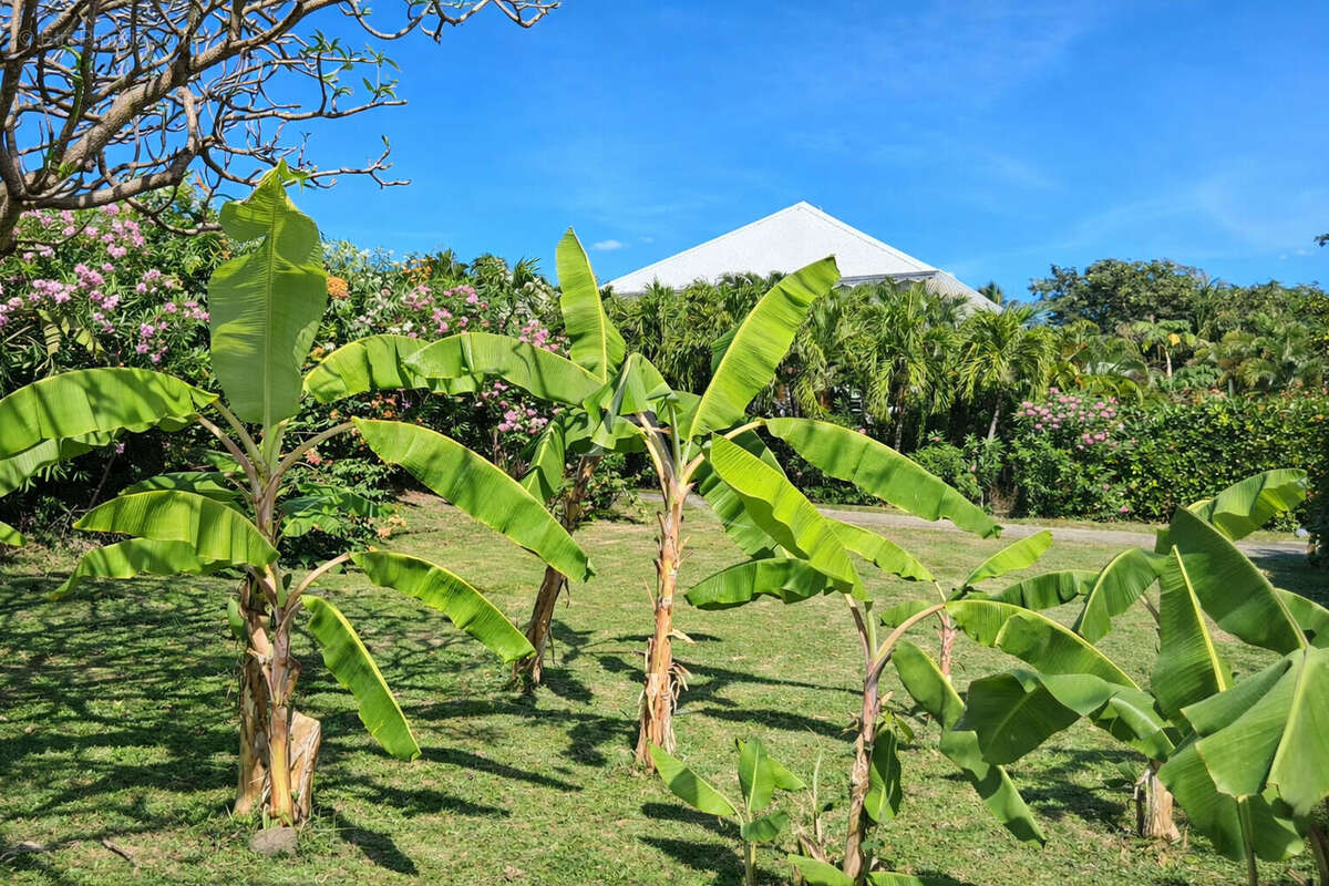 Maison à LE VAUCLIN