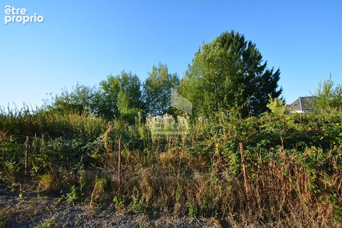 Maison 1275m² à frières-faillouël - photo 3