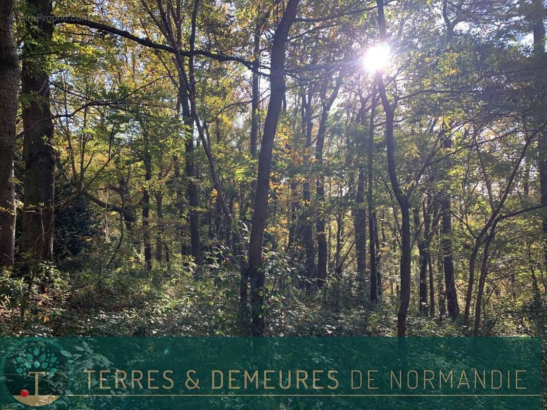 Terrain à BEUZEVILLE