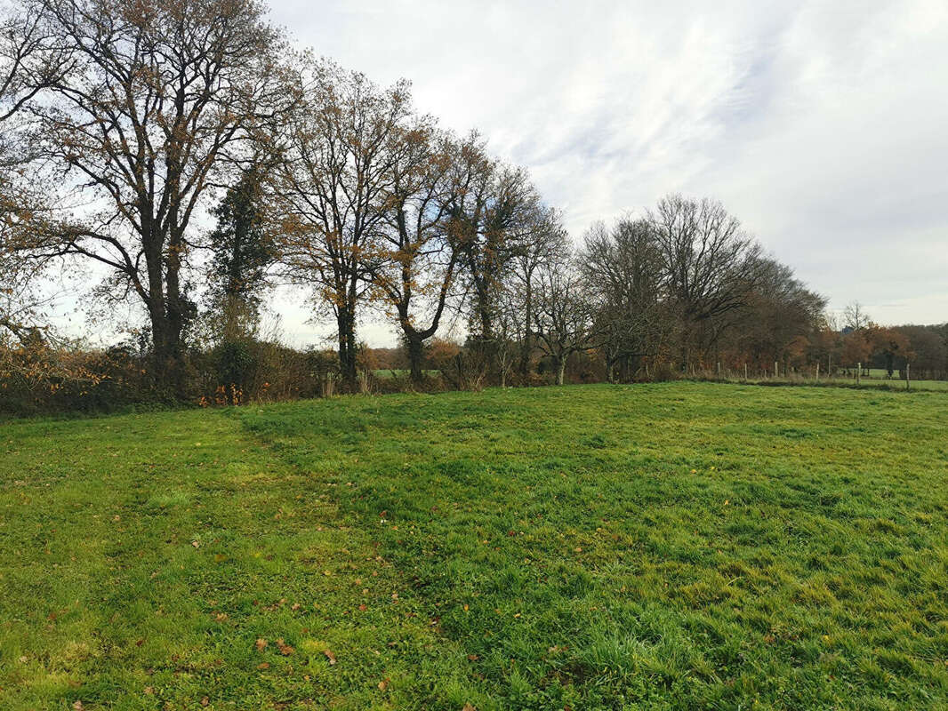Maison à COGNAC-LA-FORET