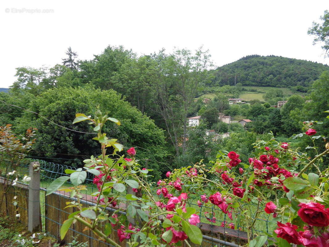 Photo 5 - Maison à CHAMBOST-ALLIERES