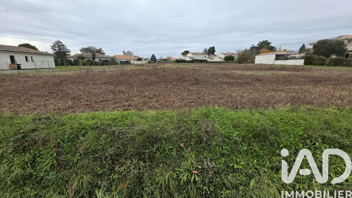 Photo 2 - Terrain à PLASSAC