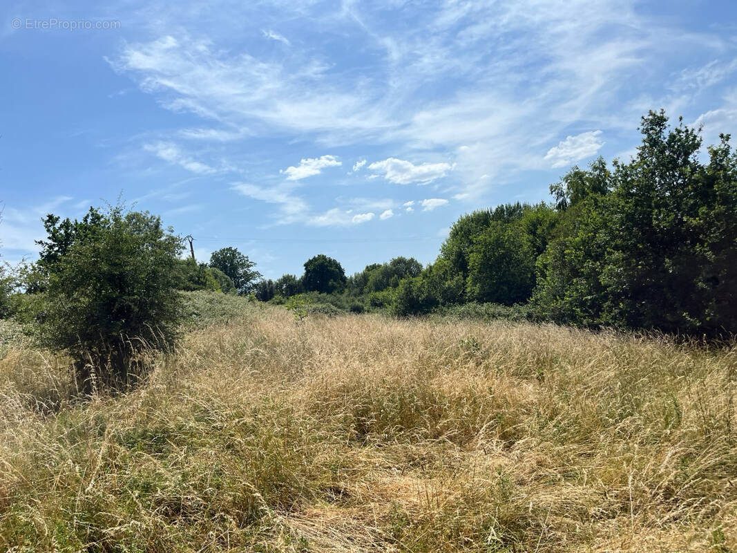 Terrain à TORDOUET