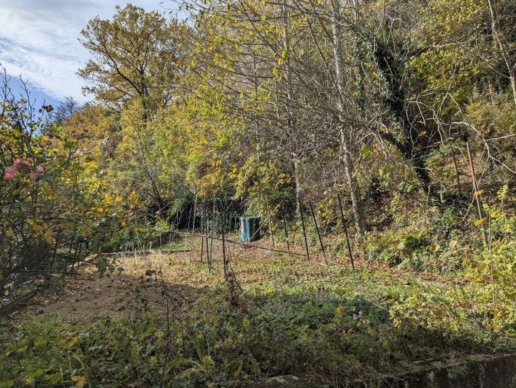 Maison à SAINT-PIERRE-DE-RIVIERE