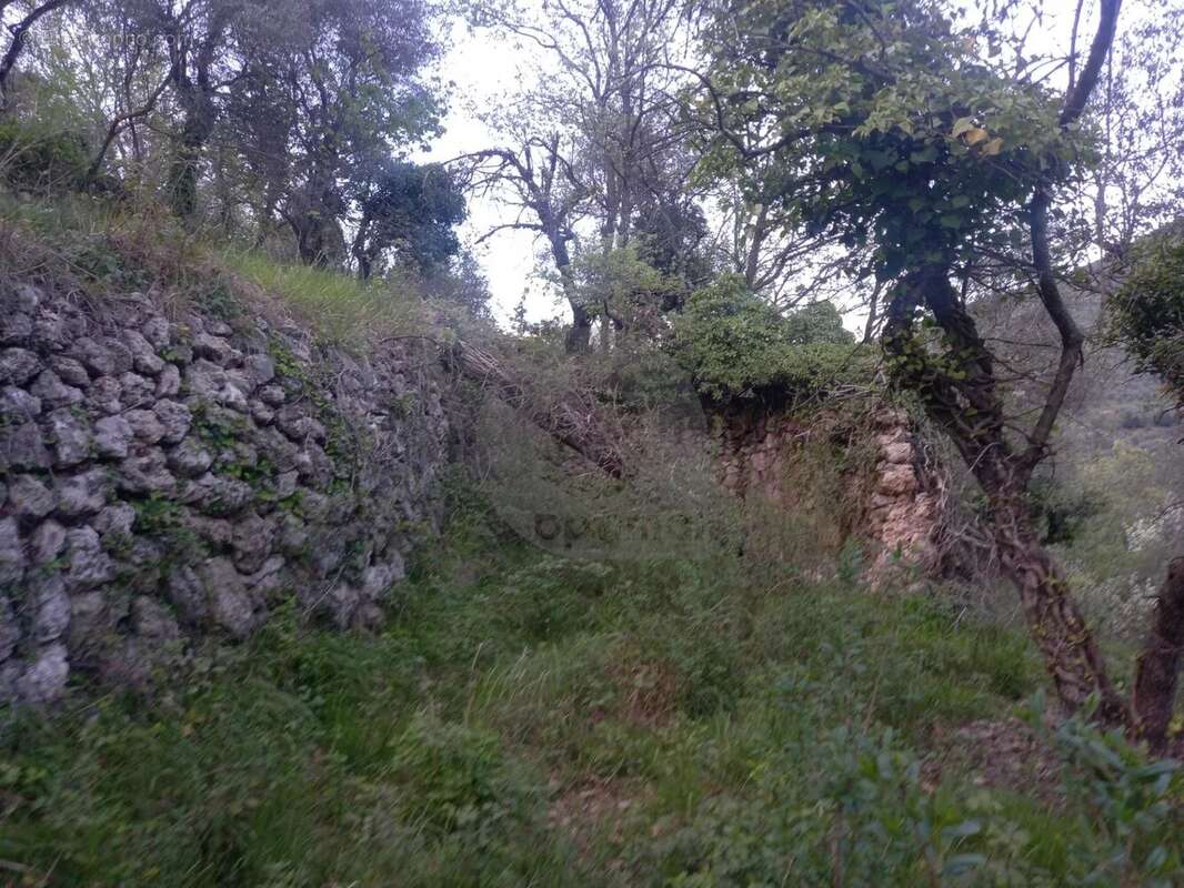 Grand terrain d'agrément - photo 5