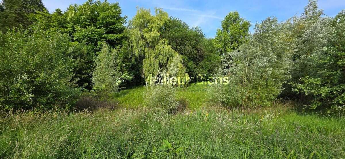 Maison à SAINT-VICTOR-L&#039;ABBAYE