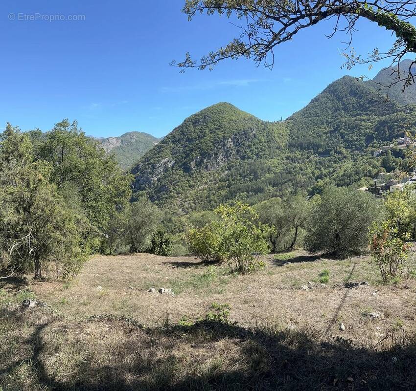 Terrain à MALAUSSENE