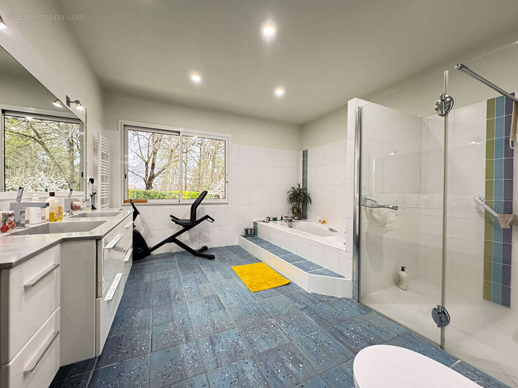 Maison à MARSAC-SUR-L&#039;ISLE