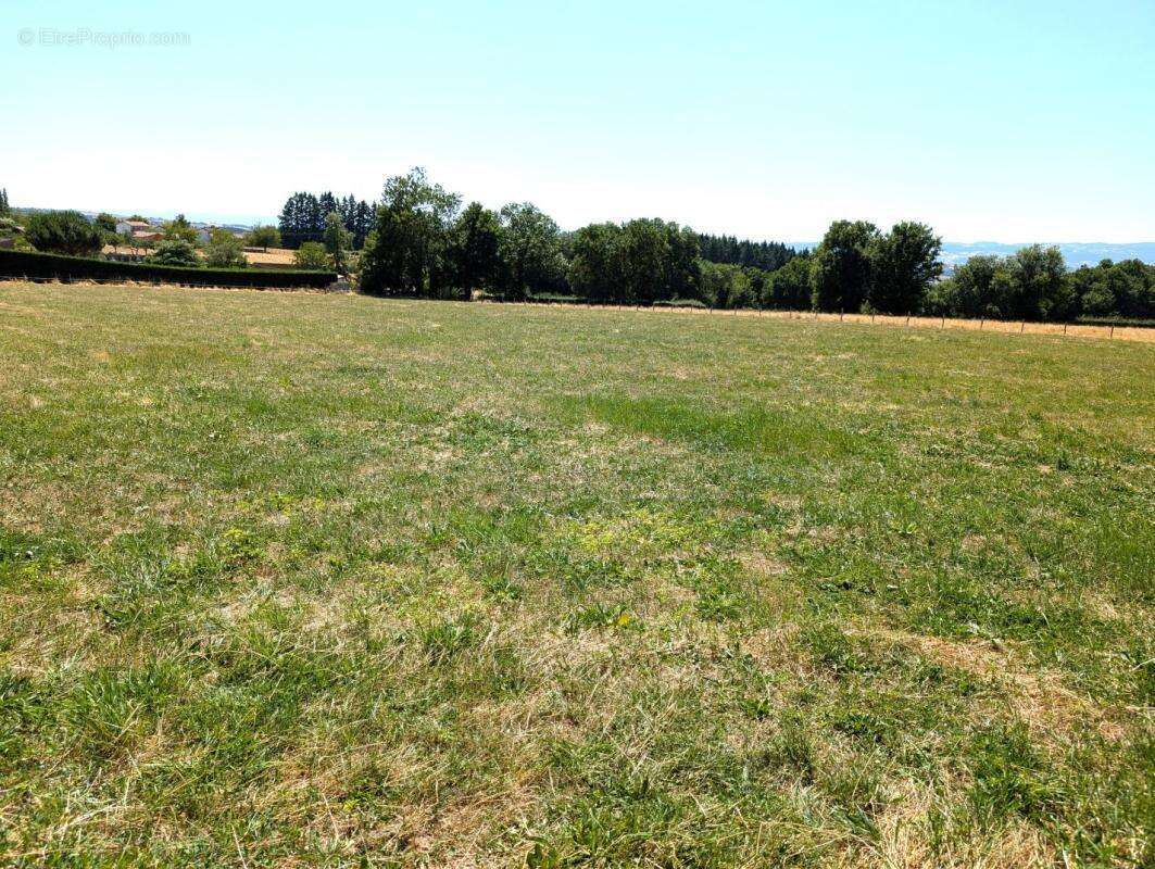 Terrain à PRADINES