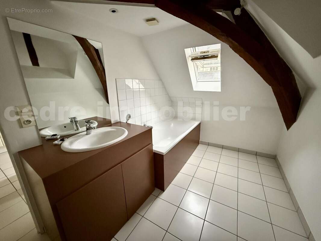 IMG_3512 - Appartement à ORLEANS