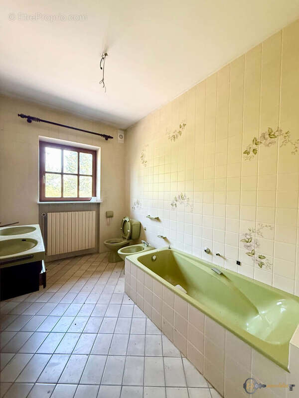 Maison 249 m² à Sarreguemines  - photo 9