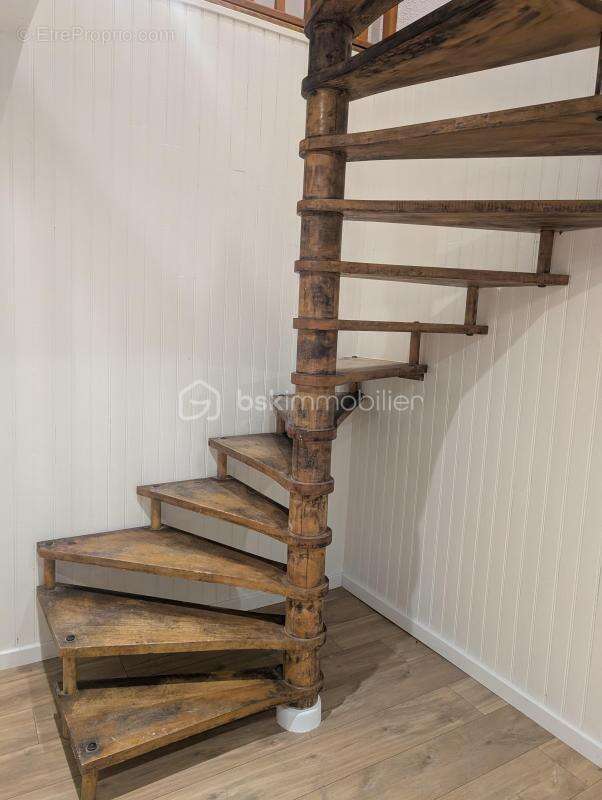 Commerce à ARGELES-SUR-MER