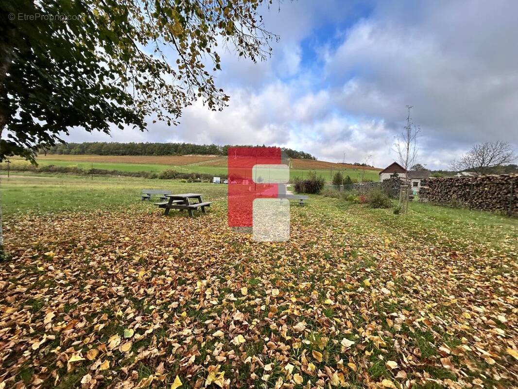 Terrain à VITRY-LE-CROISE