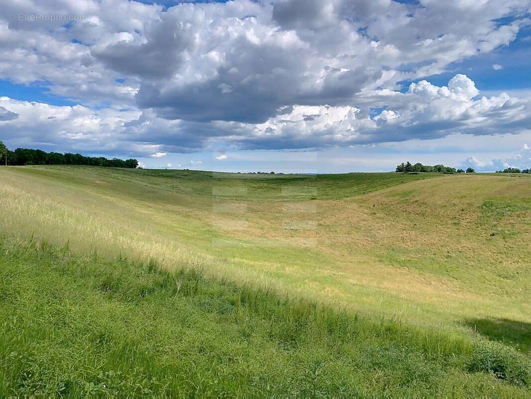 Maison à PUYLAURENS