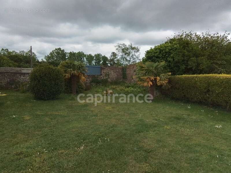 Maison à LANGONNET