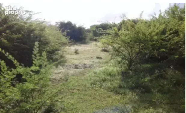 À acheter à Sainte Anne : terrain avec des droits à bâtir - photo 2
