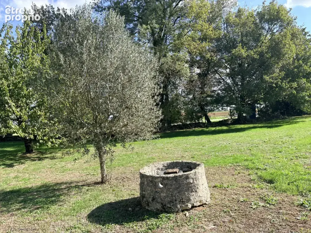 Belle Maison en Pierre avec 4 Chambres et Beau Parc Arboré - photo 37