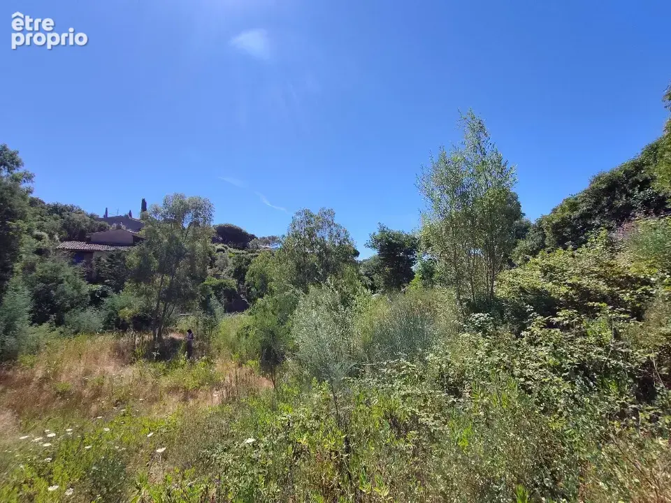 Terrain 1 568 m² à vendre à Sainte-Maxime (83120) - photo 2
