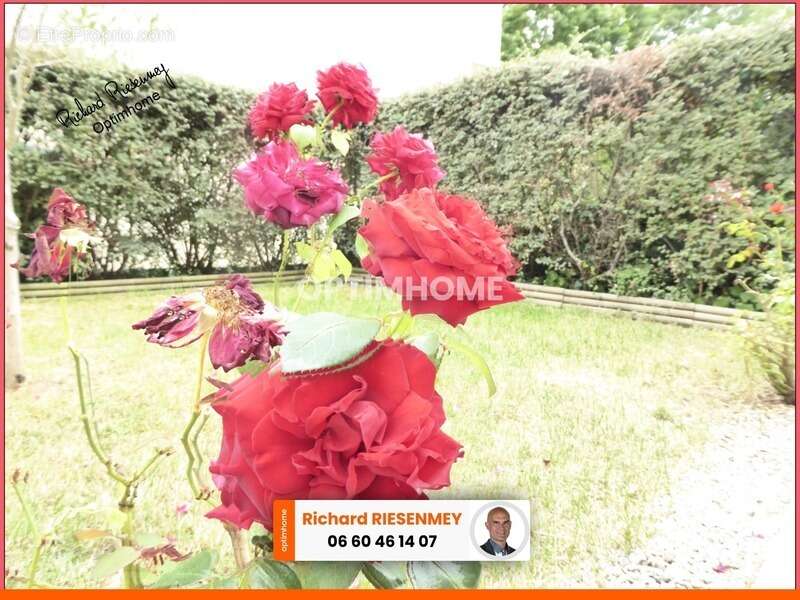 Appartement à ARPAJON