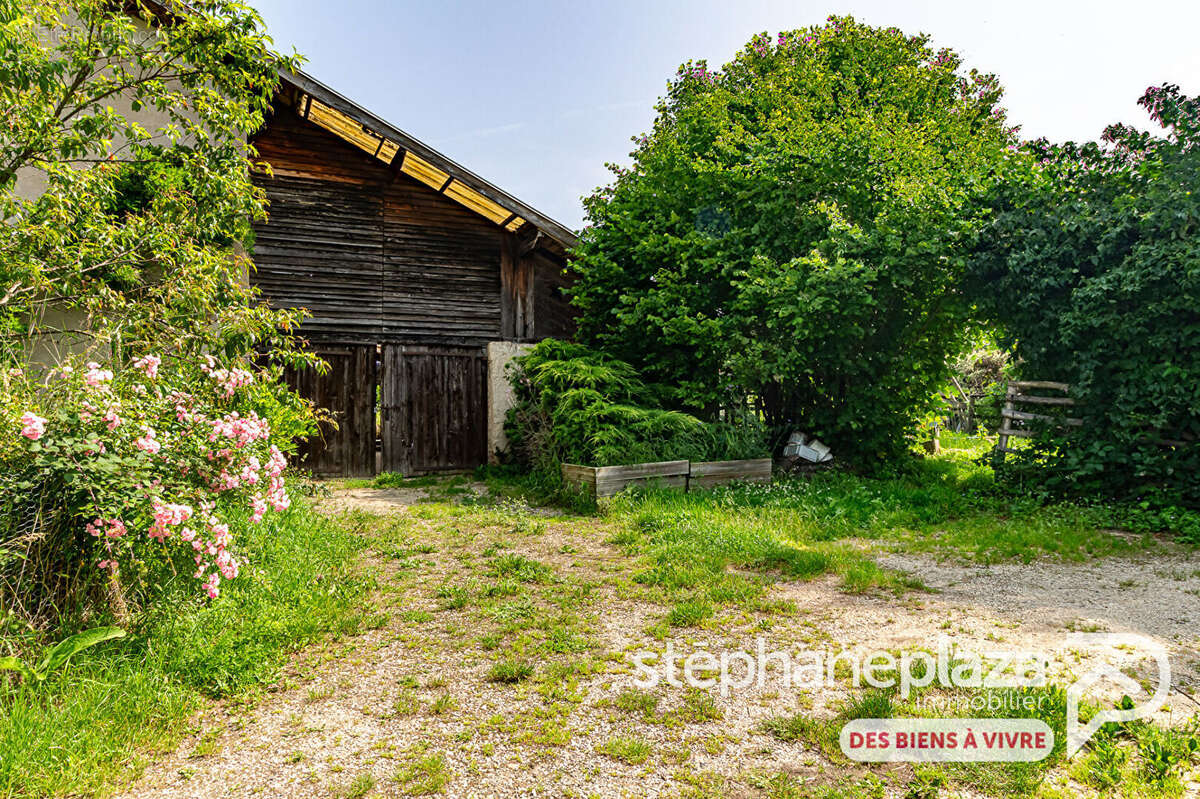 Maison à CHATILLON-SUR-CHALARONNE