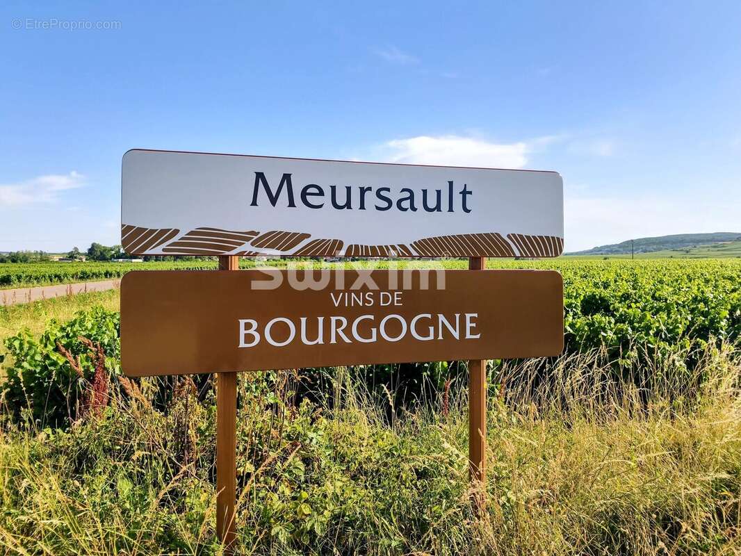 Maison à MEURSAULT