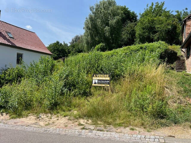 Terrain à NIEDERBRONN-LES-BAINS