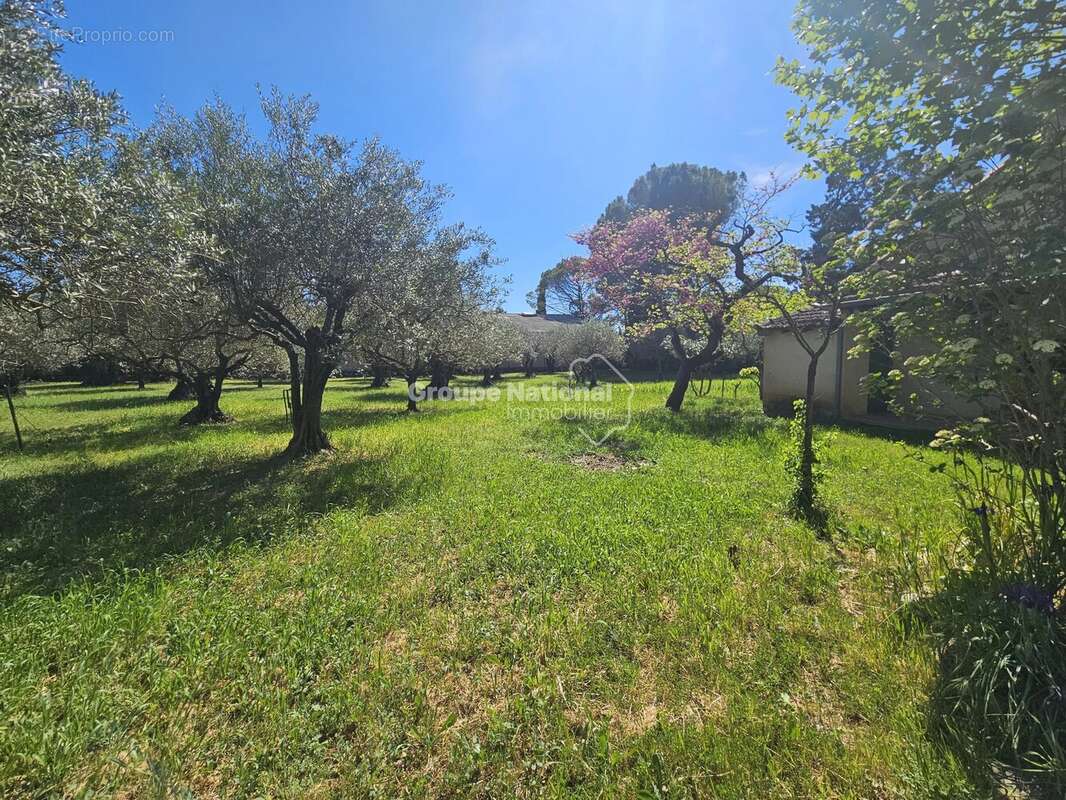 Beaumes de venise mas de caractere sur 2893 m² de terrain - photo 12