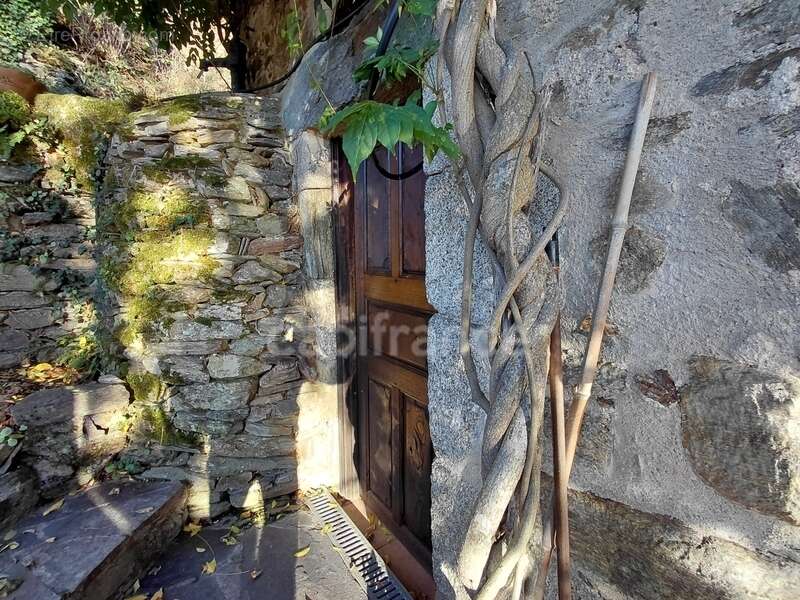Propriété du XV siècle - Sur les hauteurs du Lot - Chambres d'hôtes - gîtes - photo 28