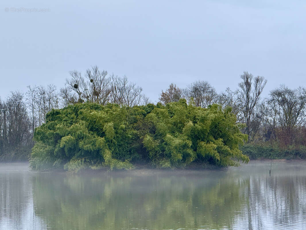 Terrain à SAINT-SYMPHORIEN-D&#039;ANCELLES