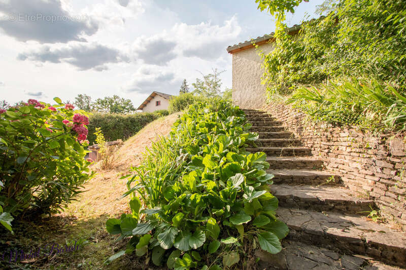 Dpt Rhône (69), à vendre CHAPONNAY maison P6 de 160 m² - Terrain de 1 450,00 m² - photo 7