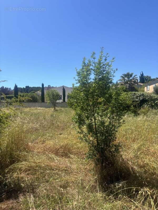 Terrain à MARSEILLE-11E