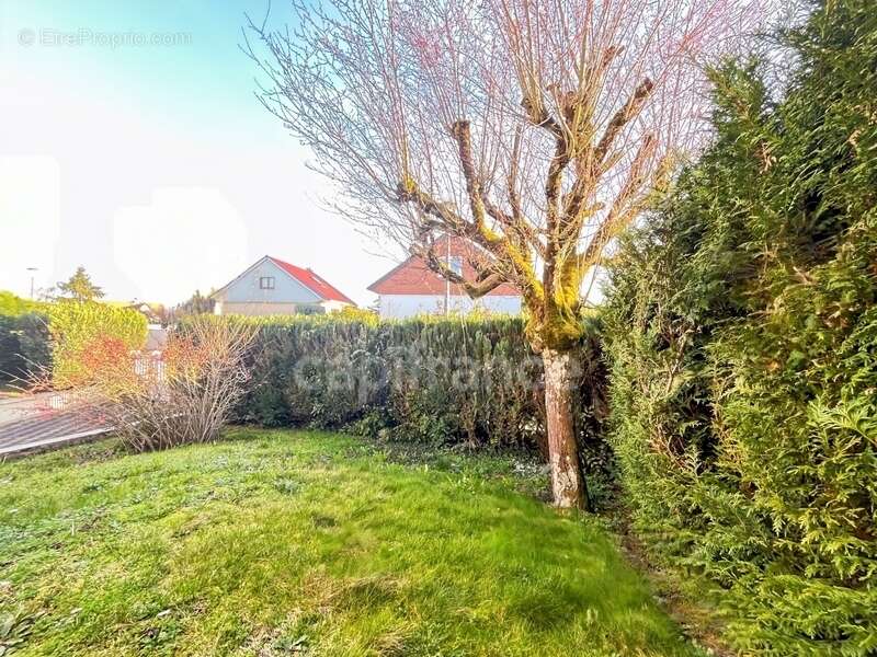 Maison à CHEVIGNY-SAINT-SAUVEUR