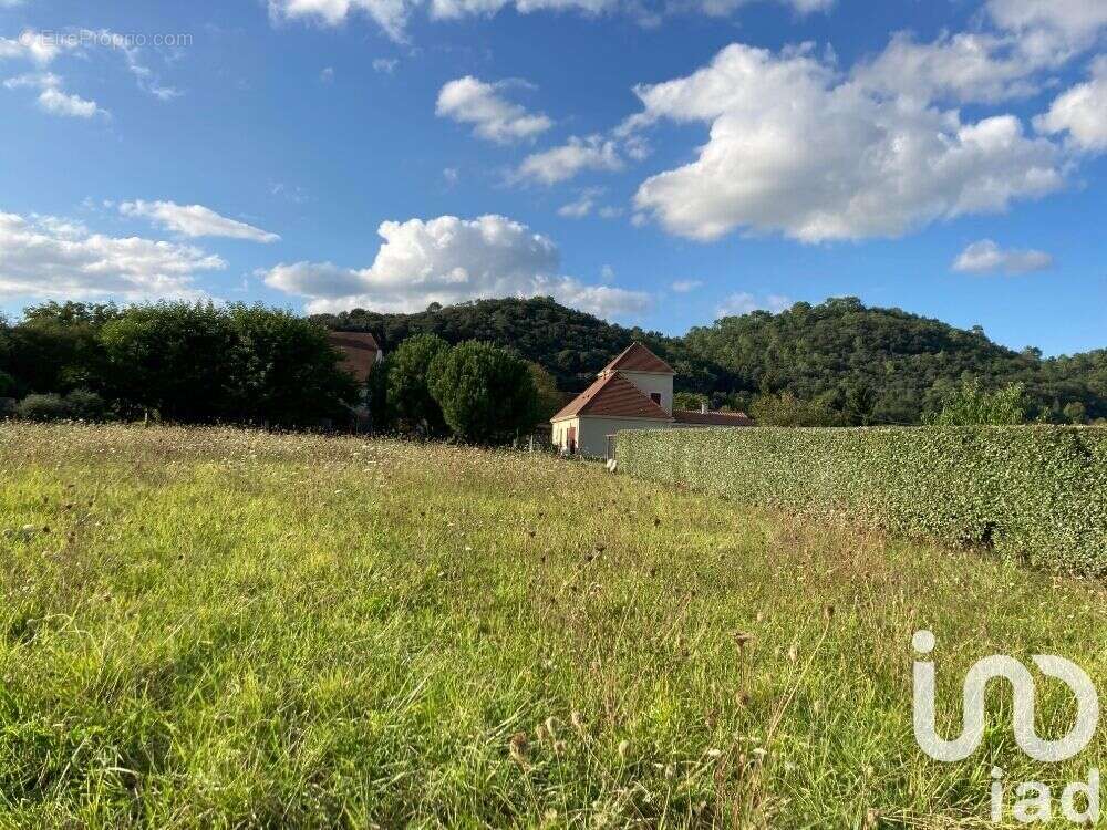 Terrain 2678 m² à Calviac-En-Perigord  - photo 3