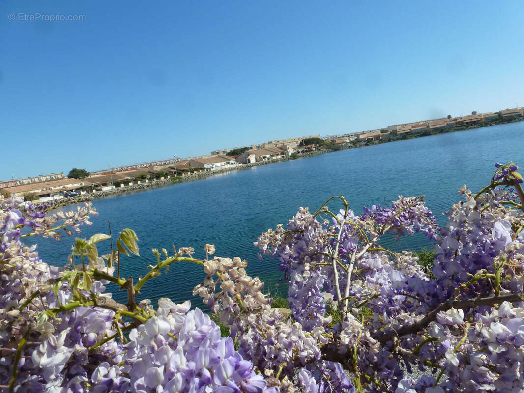 Villa coup de coeur !! - photo 26