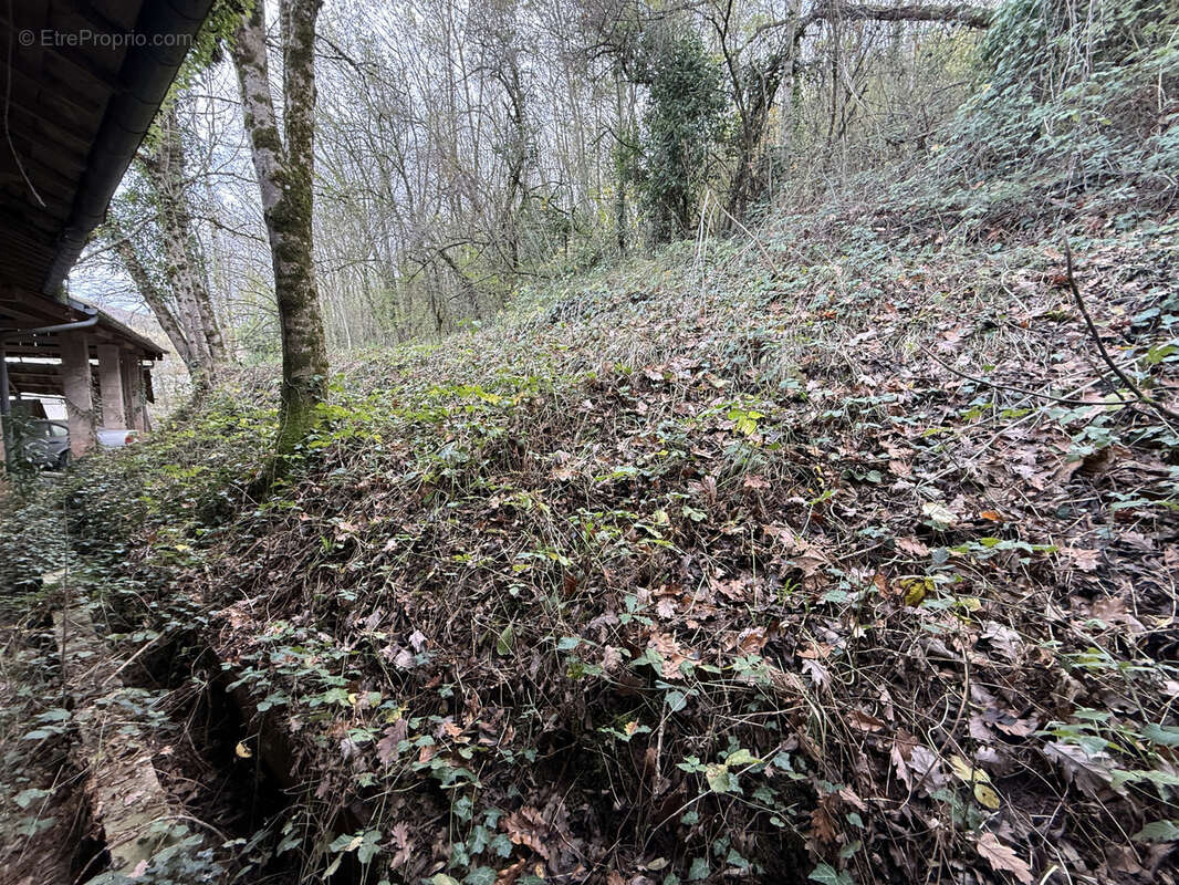 Maison à SAINT-AFFRIQUE