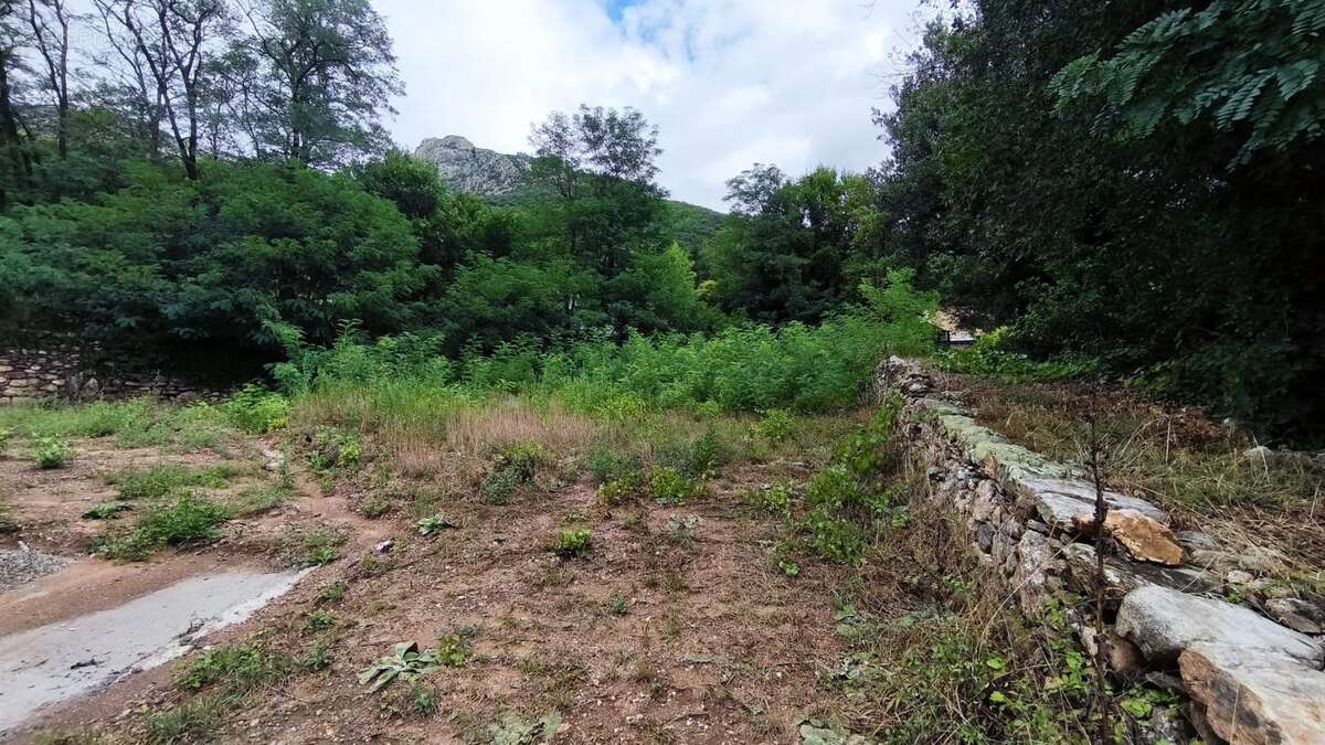Terrain 695 m² à Colombieres-Sur-Orb  - photo 2