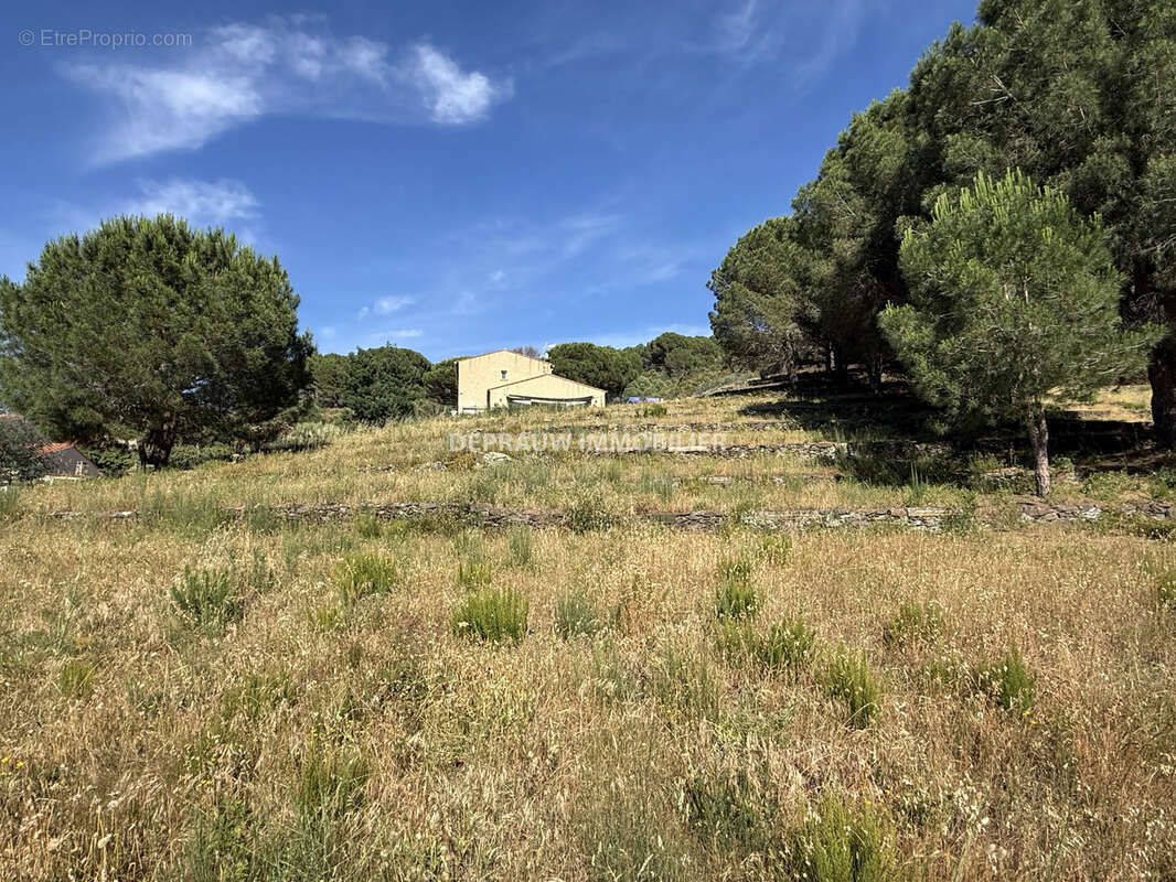 Terrain à COLLIOURE
