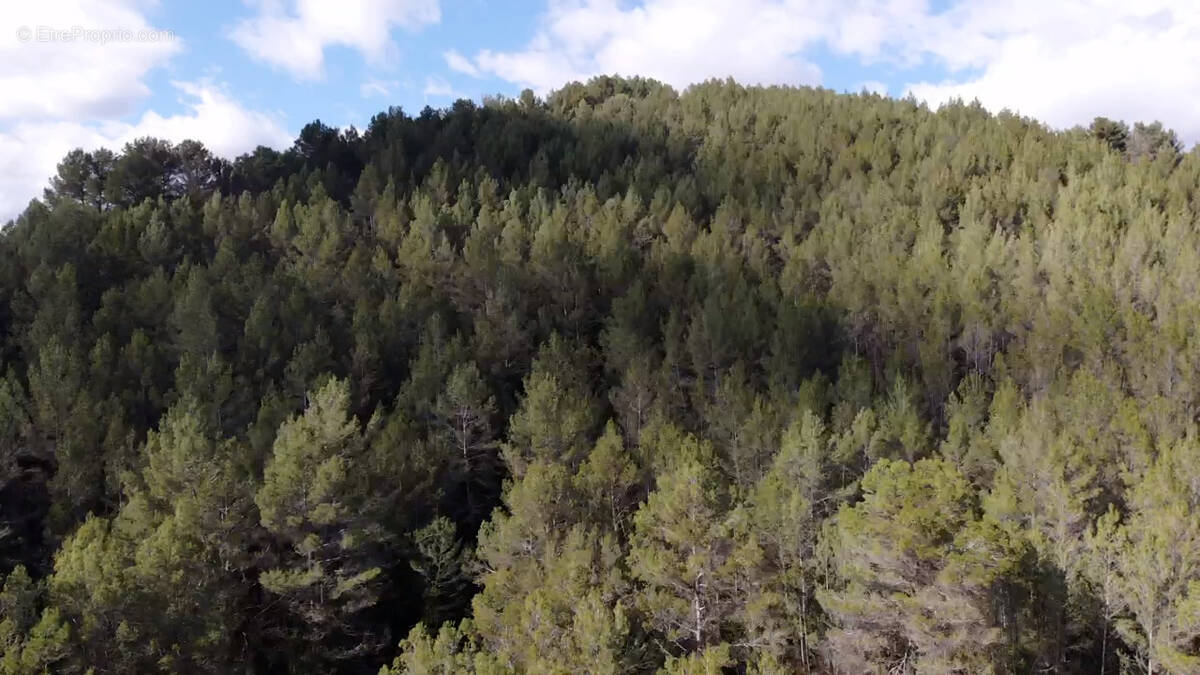 Terrain à BELGENTIER