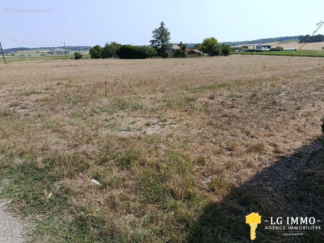 Terrain constructible non viabilisé 9069 m2 proche Estuaire de la Gironde à St Ciers du Taillon - photo 2