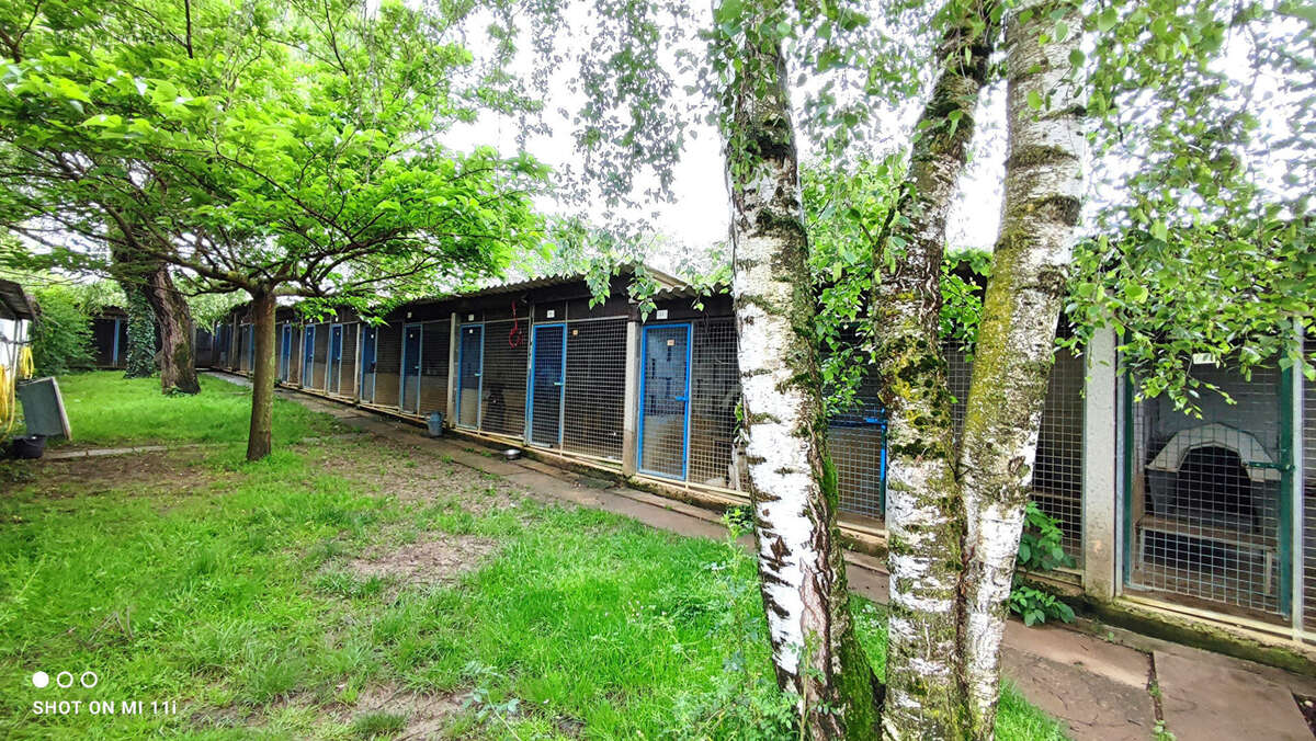 Maison à SAINT-DIDIER-SUR-CHALARONNE