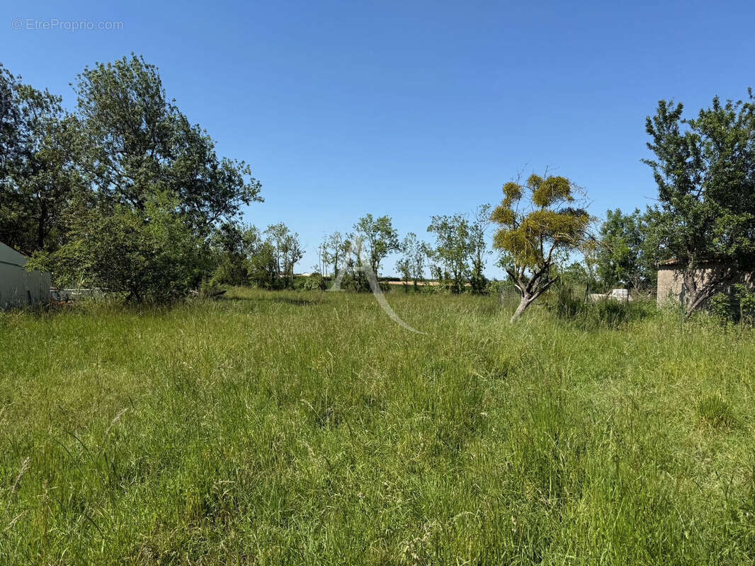 Terrain à LE POIRE-SUR-VELLUIRE