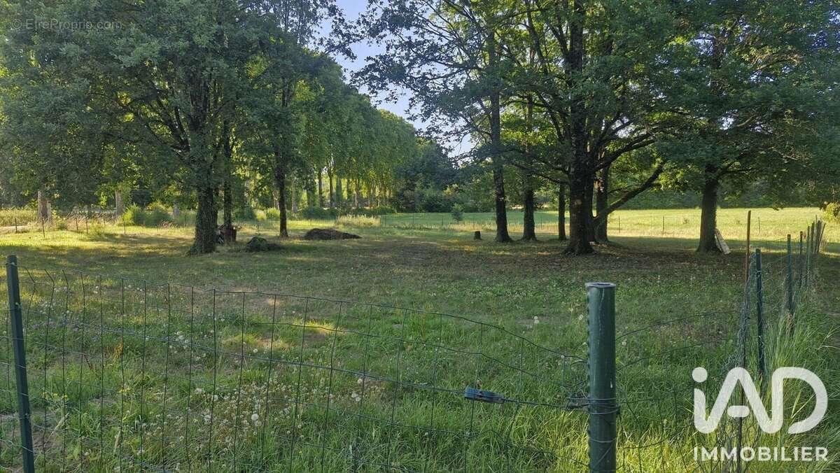 Terrain 14300 m² à Lafrancaise  - photo 3